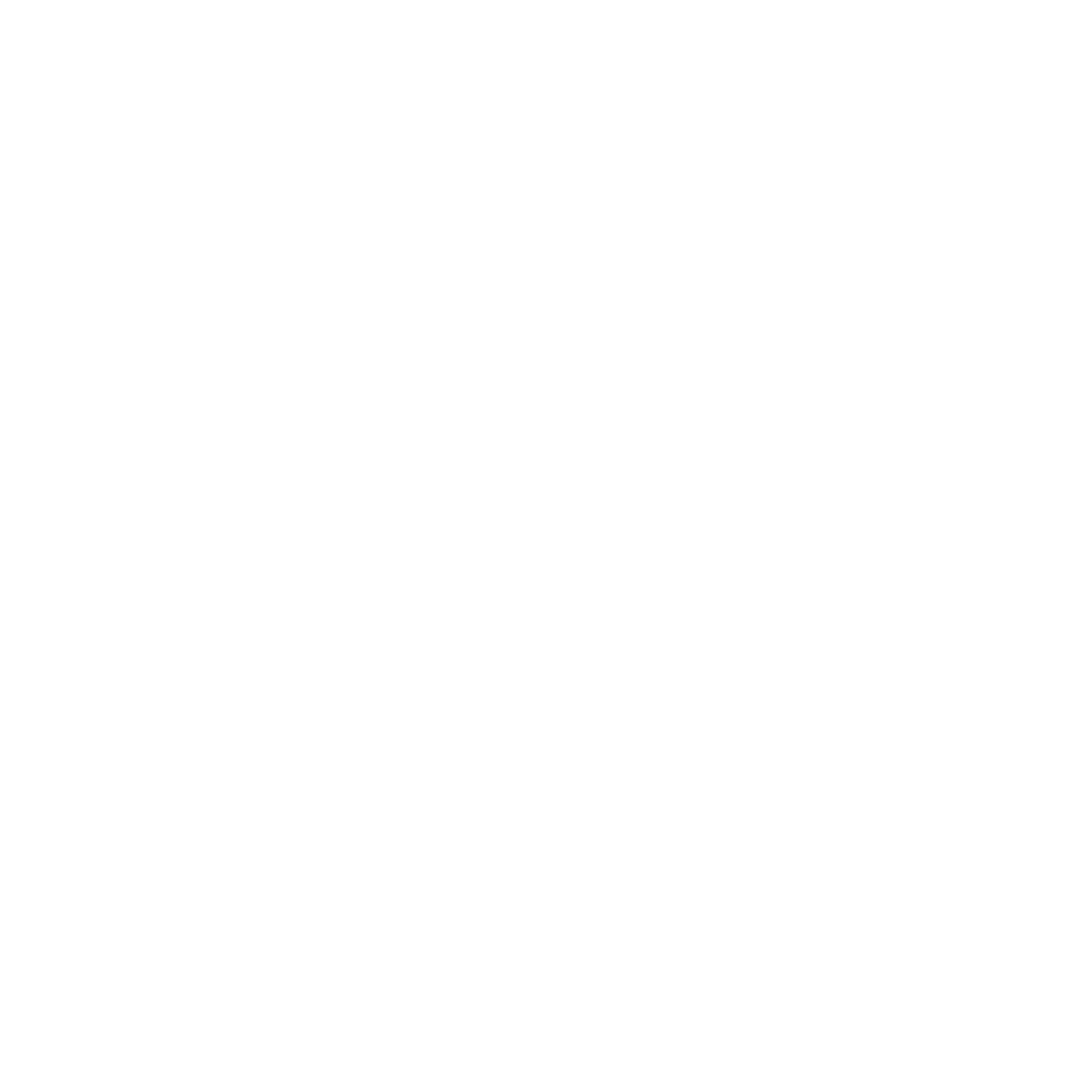 C.S.G. Palladio