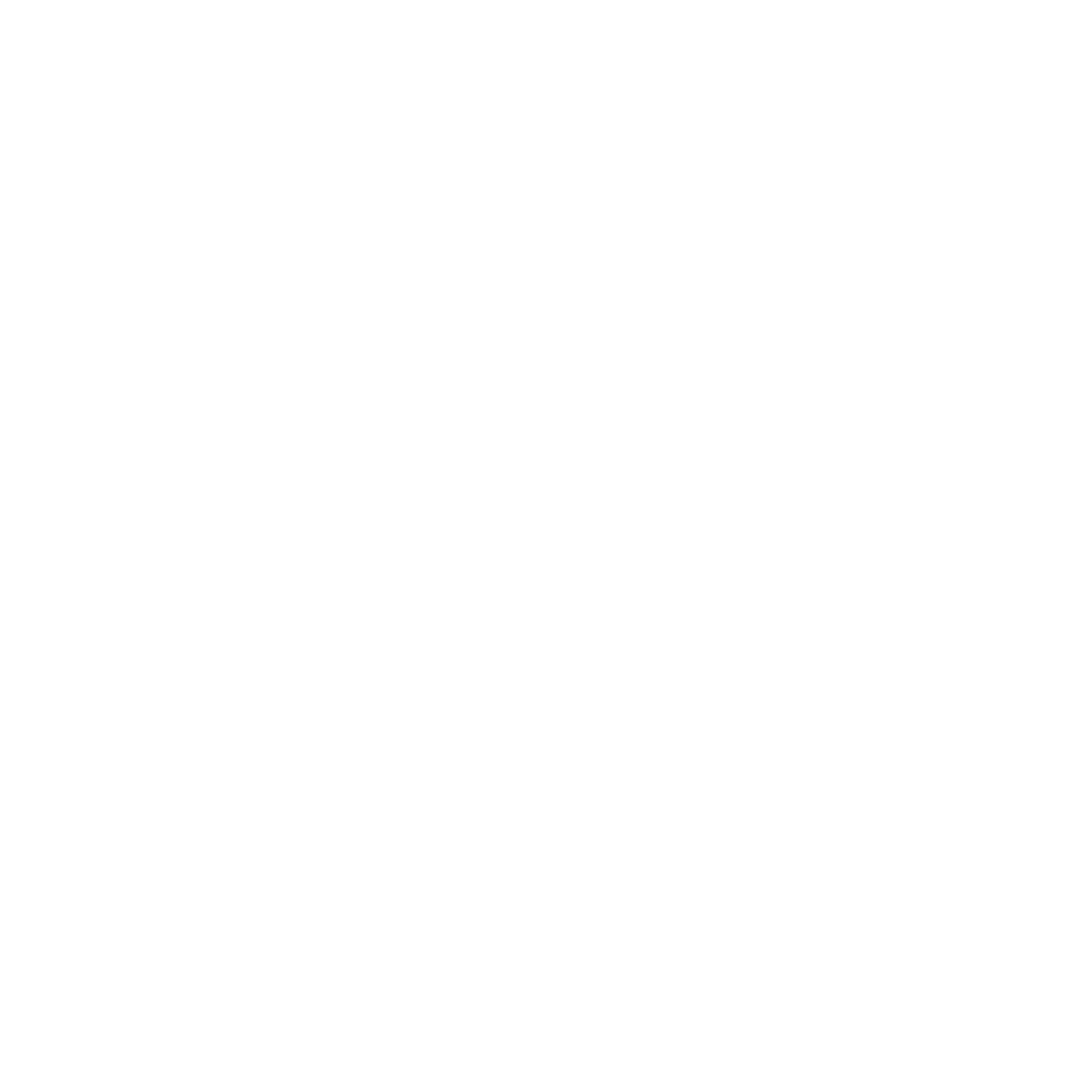C.S.G. Palladio